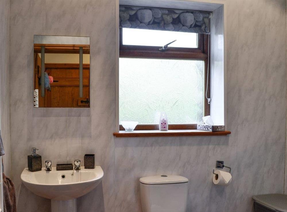 Shower room at Beudy Bach in Cilgwyn, near Caernarfon, Gwynned, Gwynedd