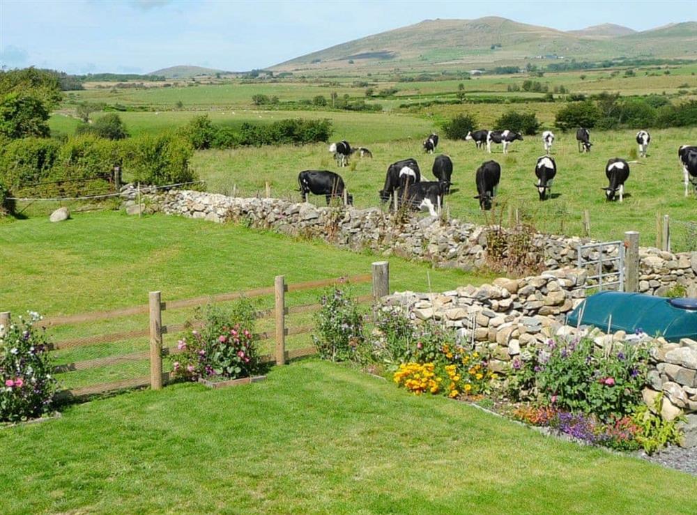 Garden at Beudy Isaf in Llangybi, near Pwllheli, Gwynedd