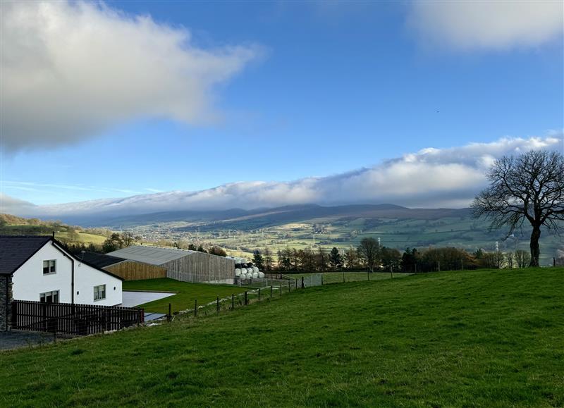 Rural landscape