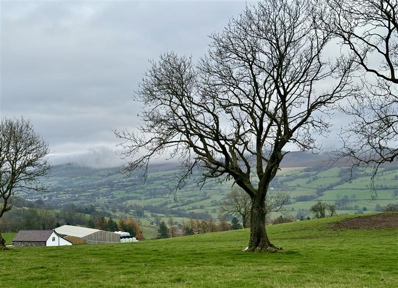 Rural landscape