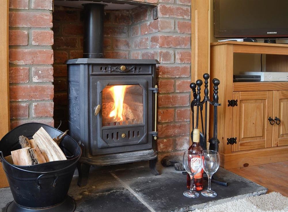 Charming living room with cosy wood burner at Bevan House in Hundred House, near Builth Wells, Powys