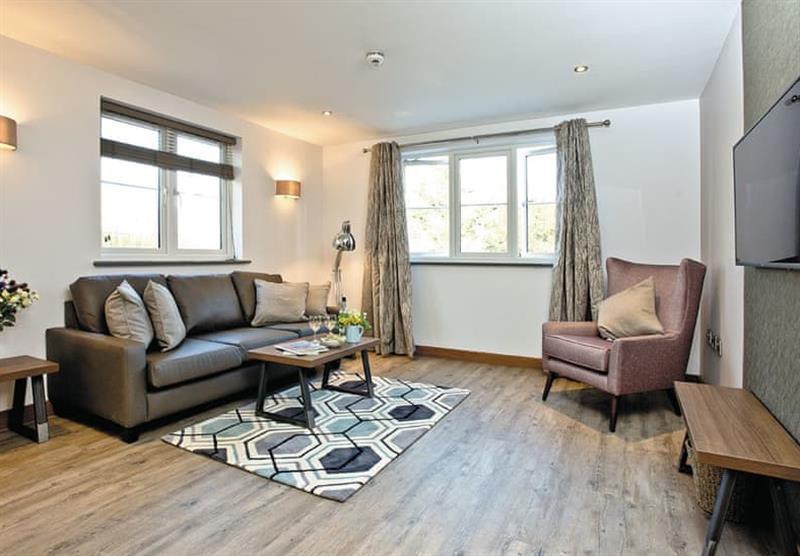 Living room in the Beyond Apartment at Beyond Escapes Devon in Paignton, South Devon