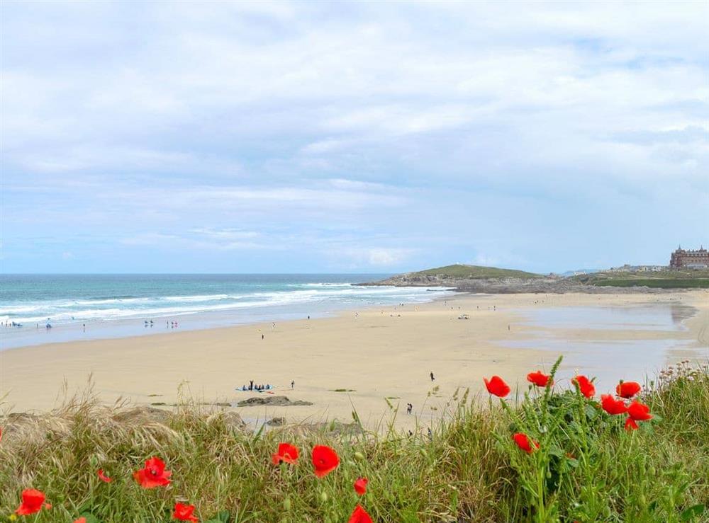 Enjoy the golden sands of Newquay’s Fistral Beach at Bay Blue, 