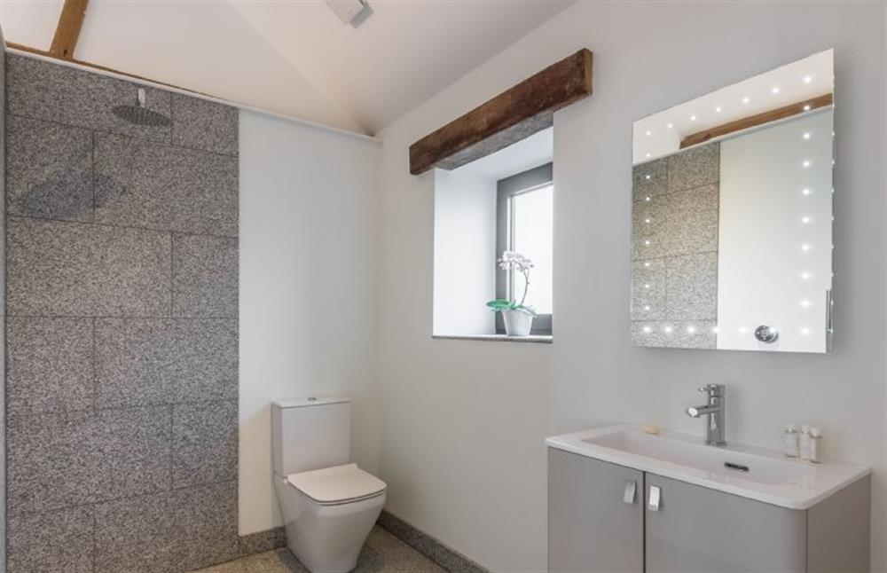 En suite wet room with large shower and feature mirro at Big Sky Barn, Ridlington near Norwich