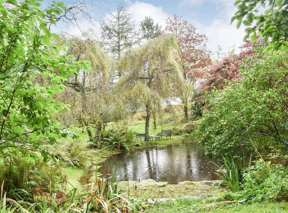 Garden and grounds at Bigland Brow Cottage in Ulverston, Cumbria