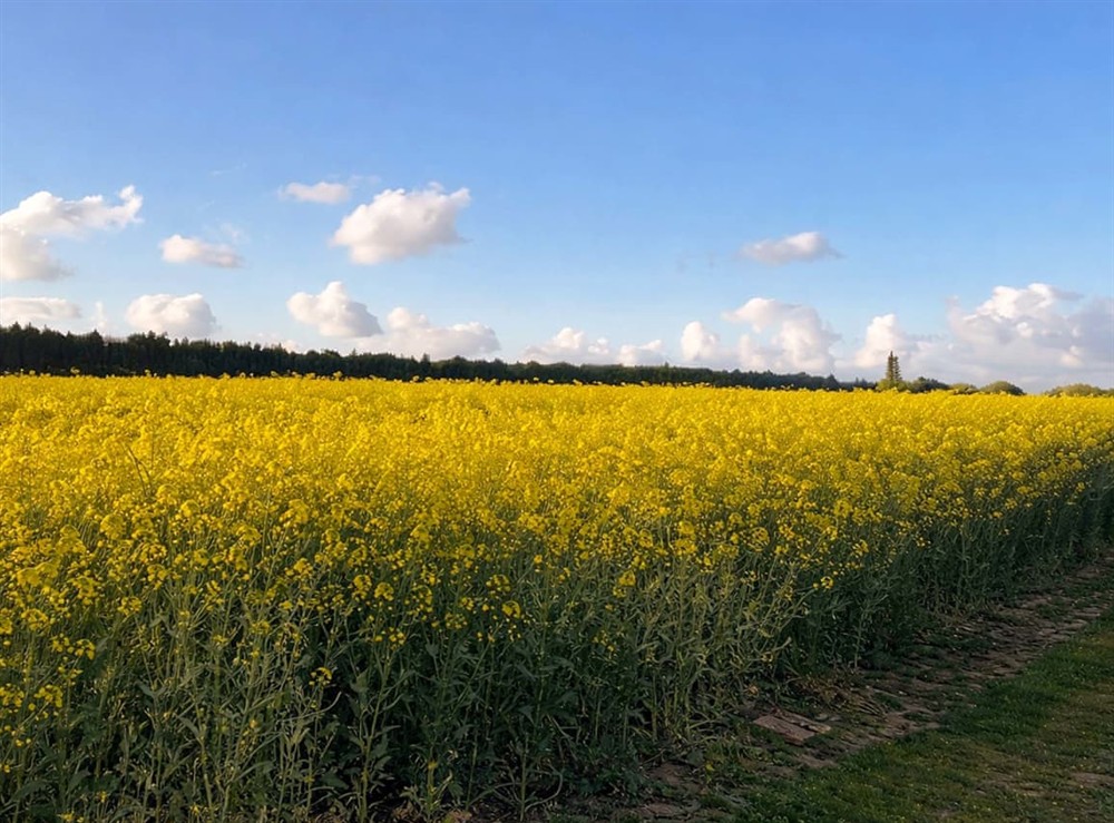 View at Bimblebox Stable in Reepham, Norfolk