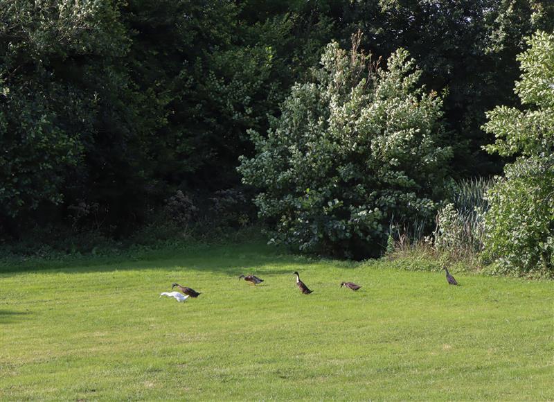 The setting around Binneford Barn