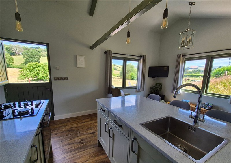 Kitchen at Birch Banc Retreats - Bedw, Oakley Park near Llanidloes
