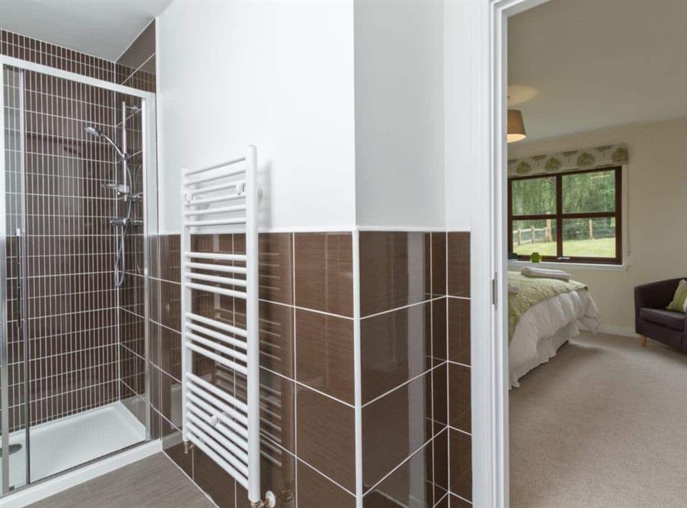Appealing en-suite shower room at Birch Corner in Aviemore, Inverness-Shire