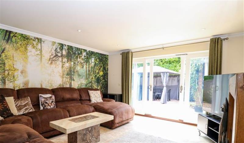 Relax in the living area at Birch Cottage, Brundall