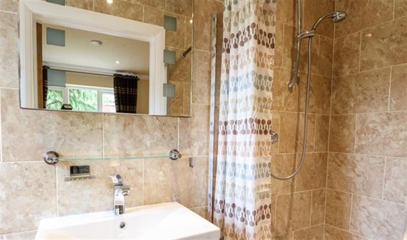This is the bathroom (photo 4) at Birch Cottage, Brundall