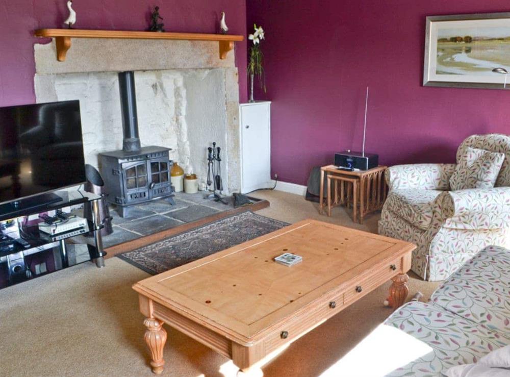 Living room at Birch Cottage in Byrness Village, near Otterburn, Tyne And Wear