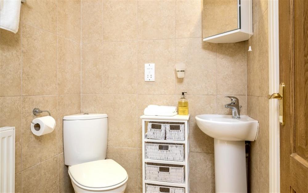 The en-suite with large walk-in shower, wc and hand basin. at Birch Cottage in Falmouth
