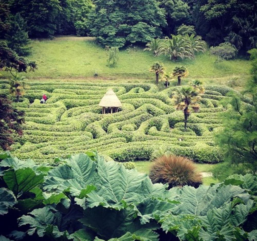 The National Trust's Glendurgan Garden Maze is always fun! at Birch Cottage in Falmouth