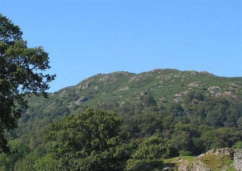 The area around Birch Knoll at Birch Knoll, Ambleside