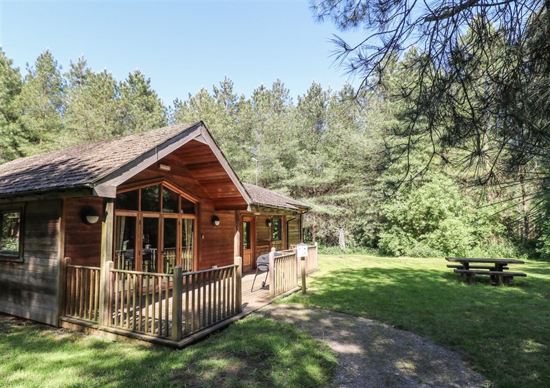 Outside Birch Lodge