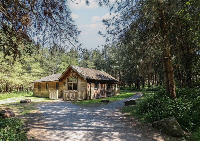 The setting of Birch Lodge