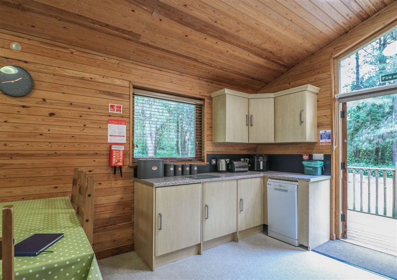 This is Birch Lodge