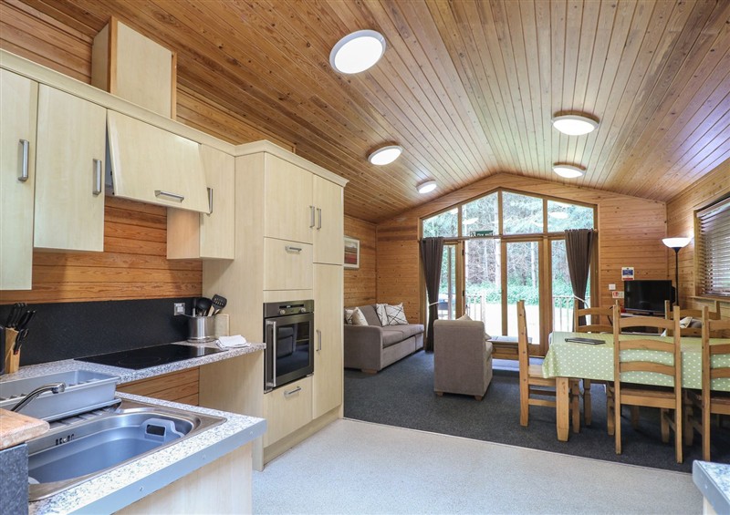 This is Birch Lodge