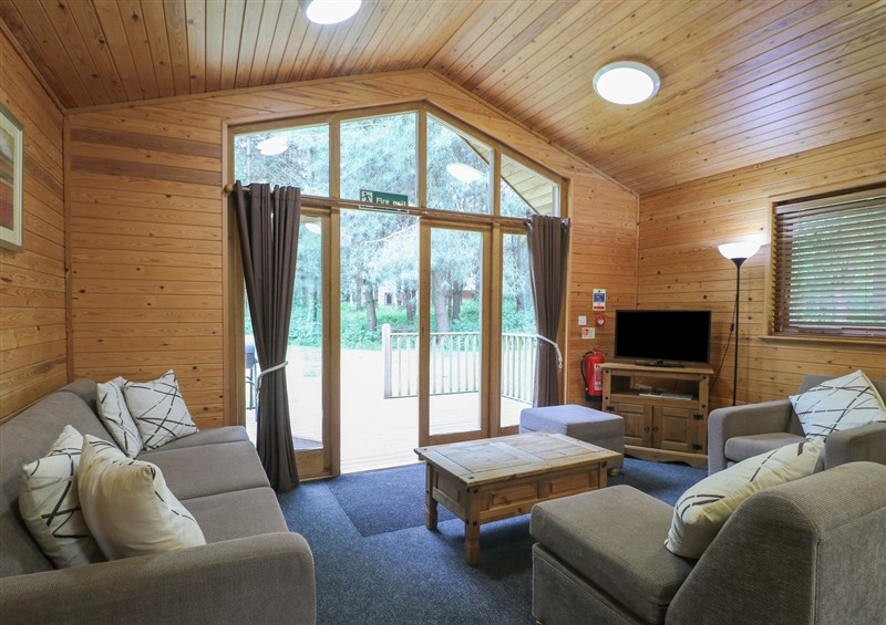 This is Birch Lodge