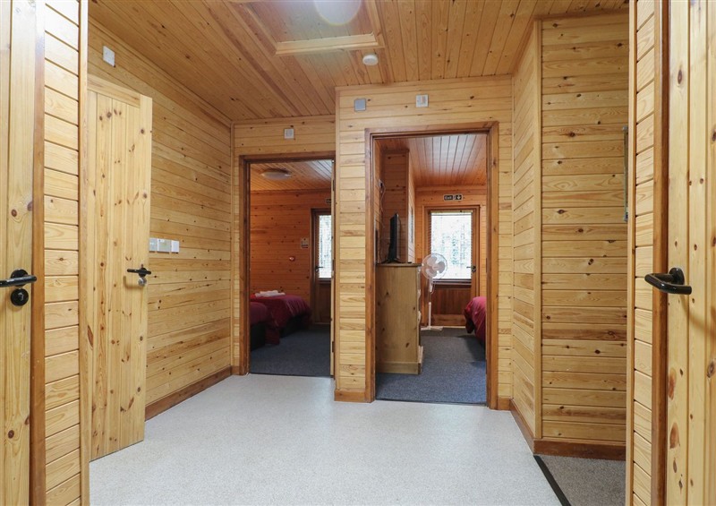 This is the setting of Birch Lodge