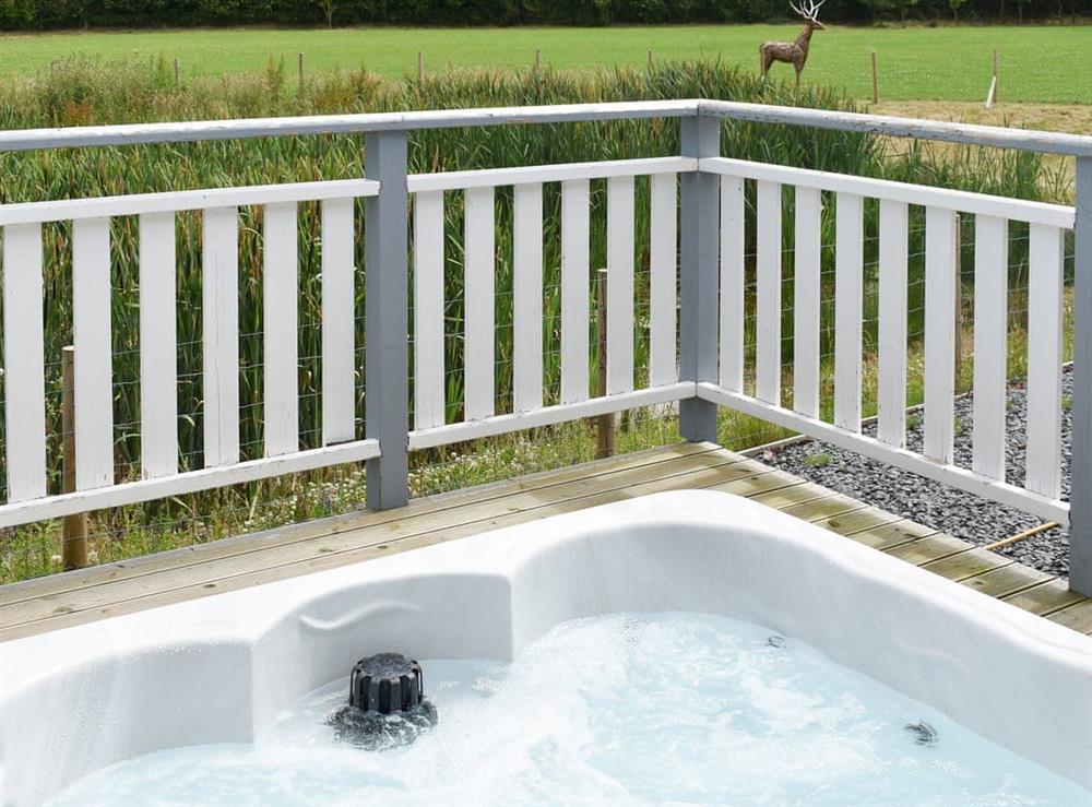Hot tub (photo 2) at Birch Lodge in Ulverston, Cumbria