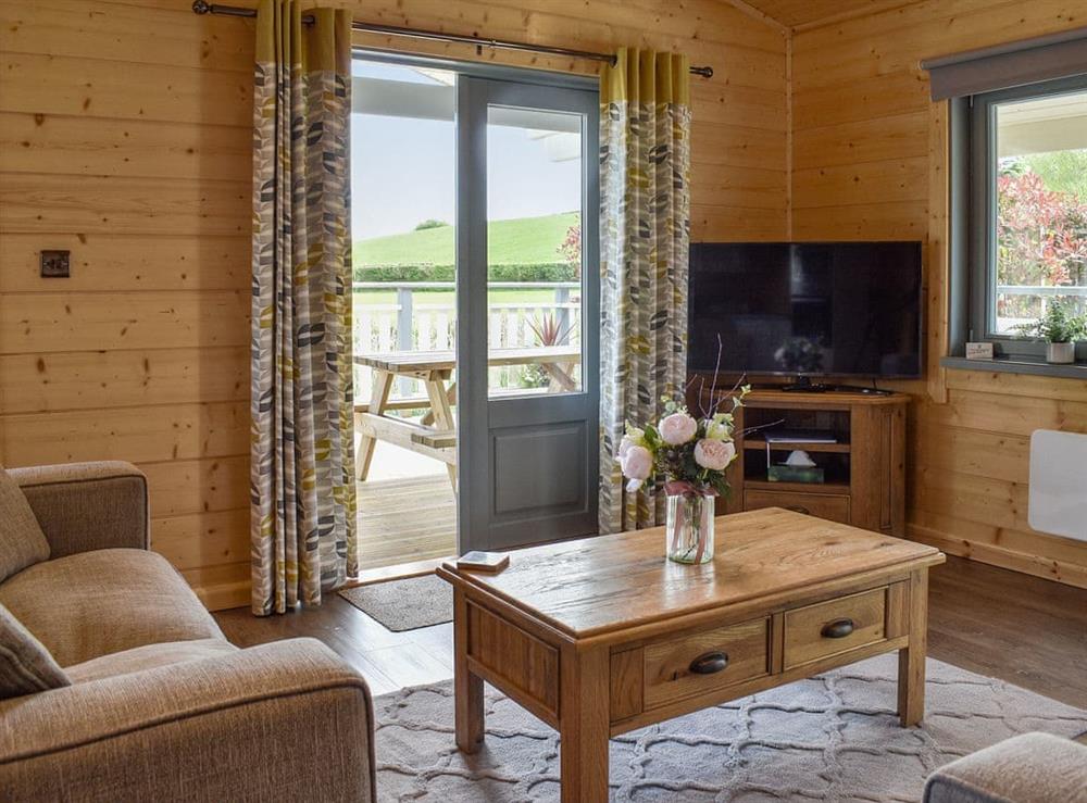Living area at Birch Lodge in Ulverston, Cumbria