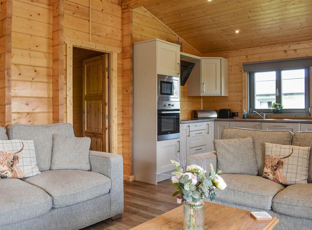 Open plan living space at Birch Lodge in Ulverston, Cumbria
