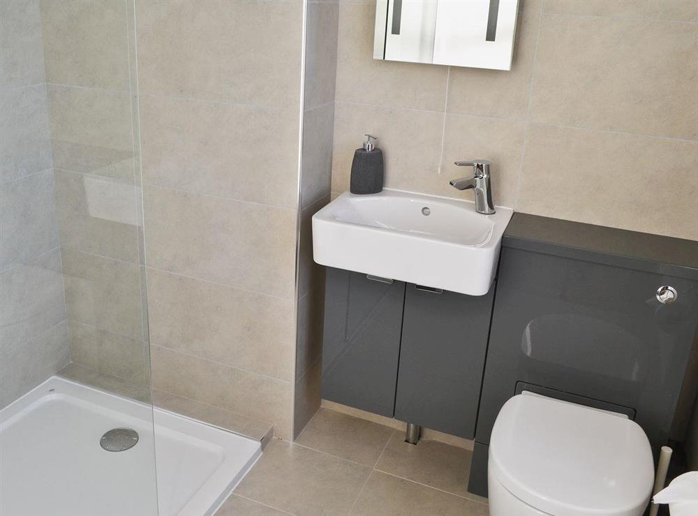 En-suite shower room at Birchfield in Rhuallt, near St Asaph, Denbighshire