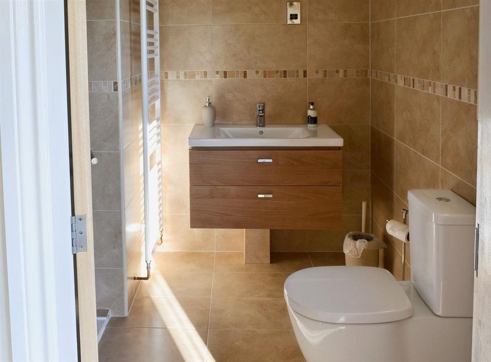Shower room at Birchfield in Rhuallt, near St Asaph, Denbighshire