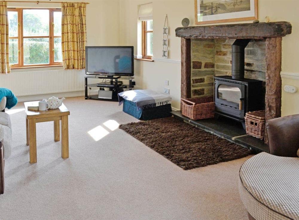 Living room (photo 2) at Birchwood in Marhamchurch, near Bude, Cornwall