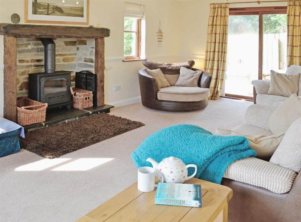 Living room at Birchwood in Marhamchurch, near Bude, Cornwall
