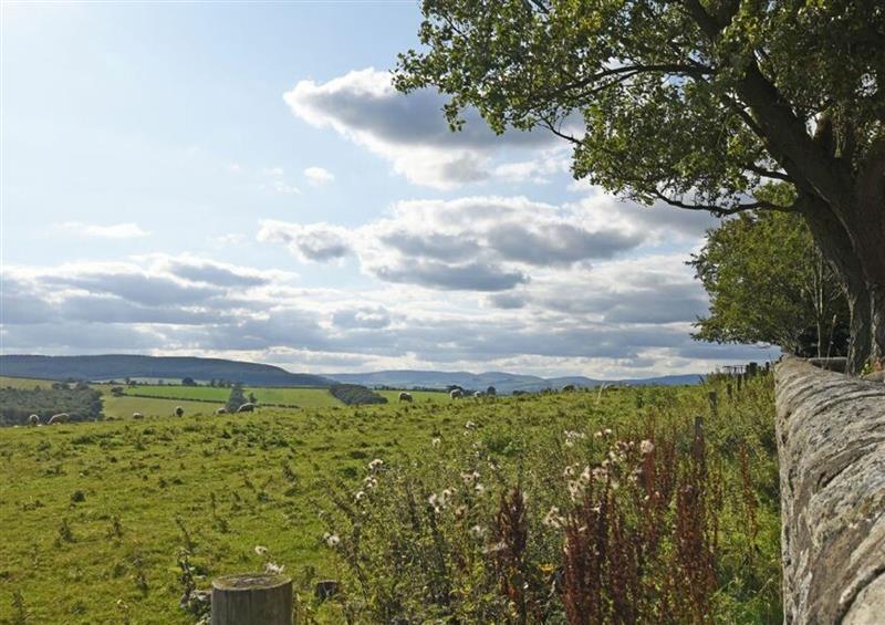 Rural landscape at Birsley Cottage, Alnwick
