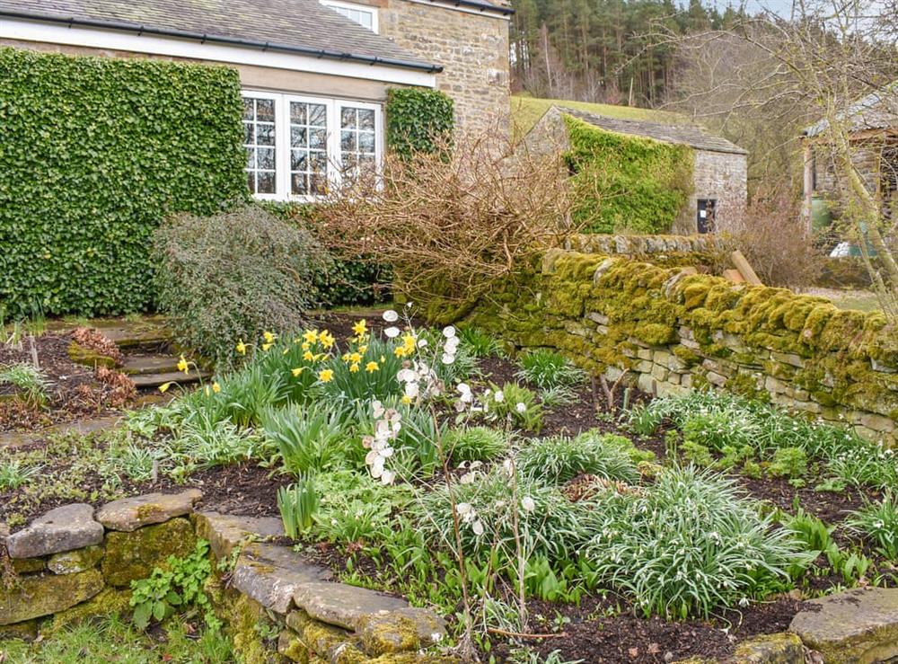 Garden at Black Bank House in Sinderhope, near Allendale, Northumberland
