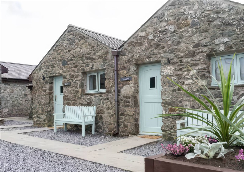 Outside at Black Bird Cottage, Llangaffo