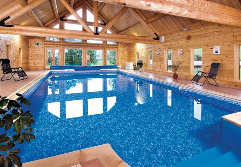 Indoor heated swimming pool at Black Hall Lodges in Shropshire