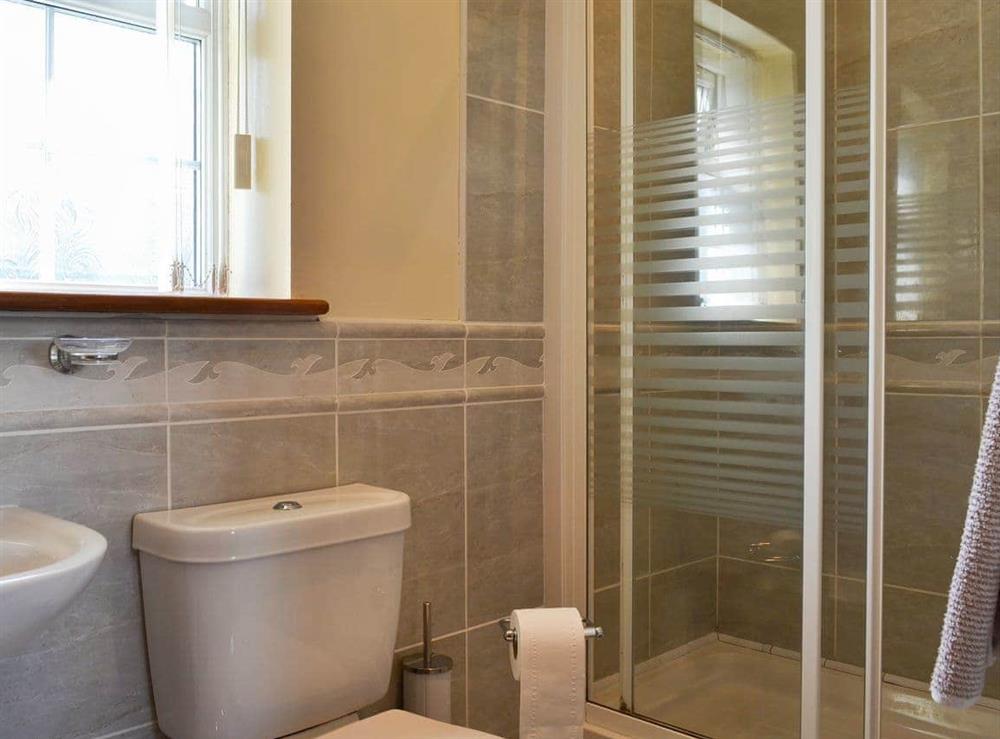 En-suite shower room at Black Horse Cottage in Pentraeth, near Beaumaris, Ynys Mon