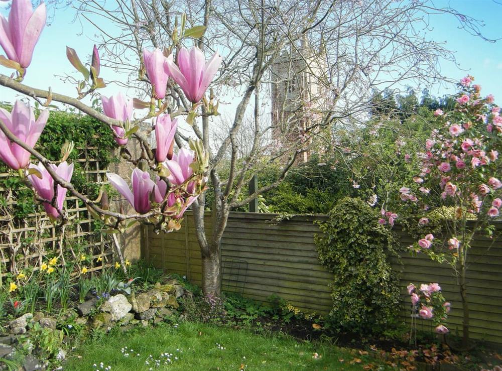 Delightful garden with lovely view at Blackberry Cottage in Kenton, near Exeter, Devon, England