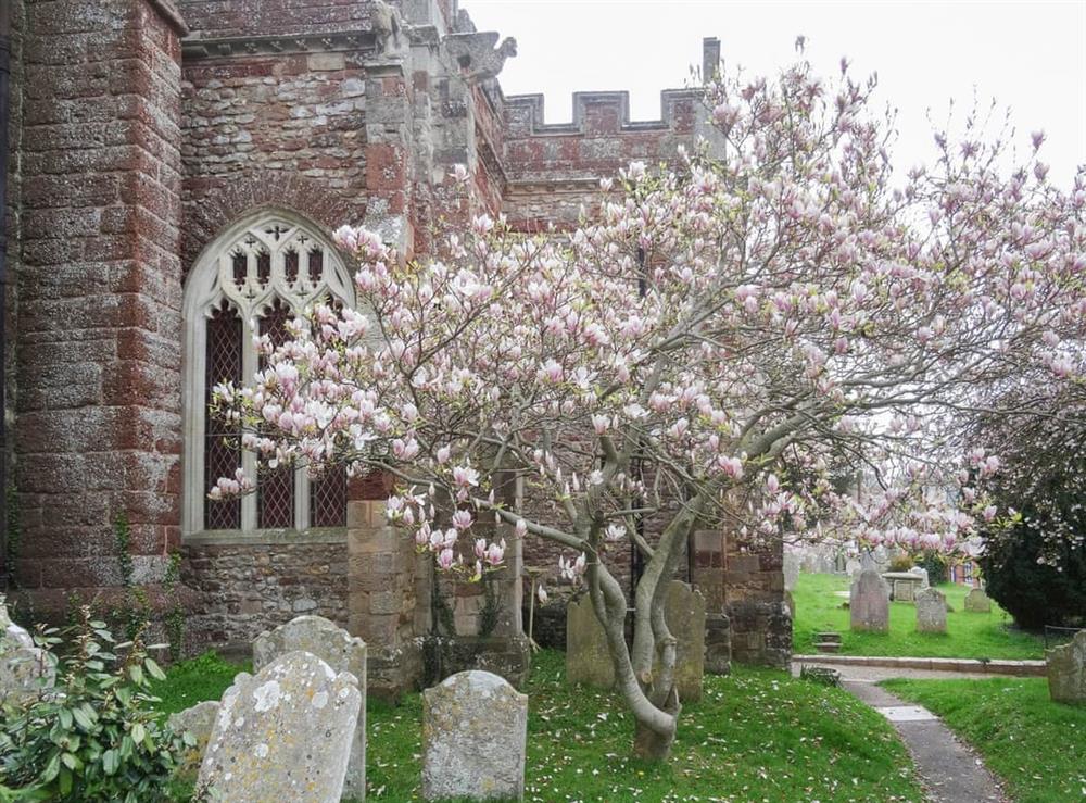 The picturesque village church in Kenton at Blackberry Cottage in Kenton, near Exeter, Devon, England