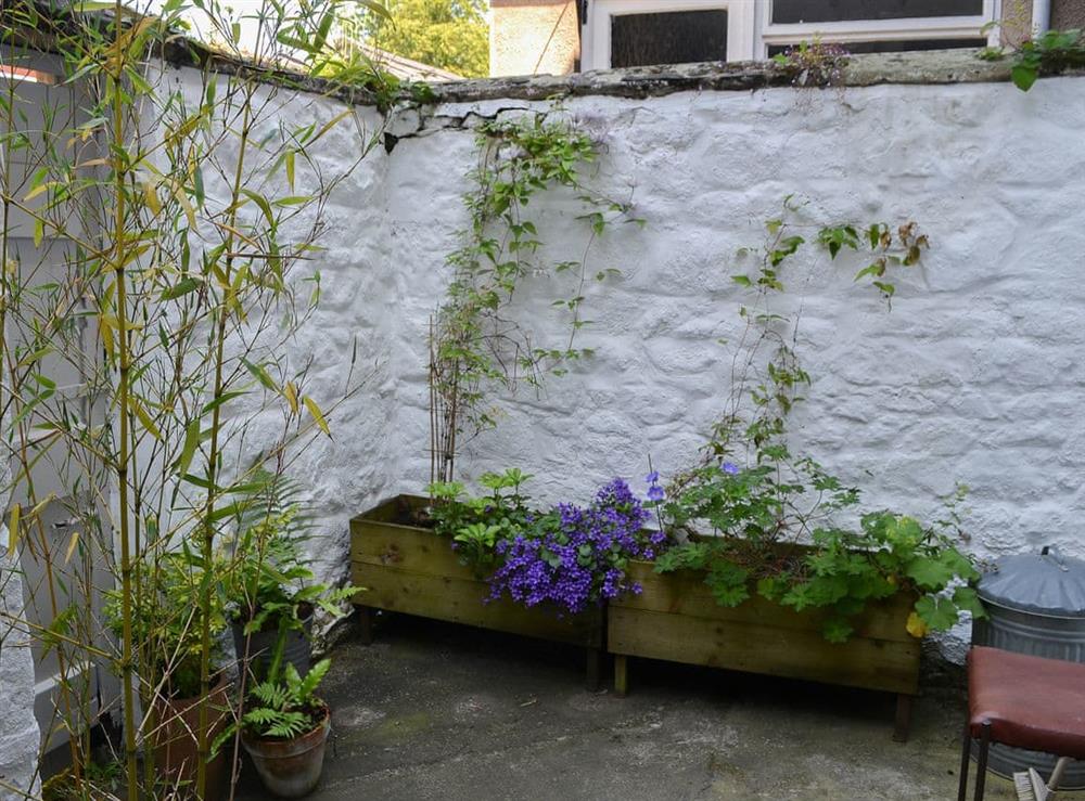 Modest secluded courtyard garden at Blackbird House in Alnwick, Northumberland