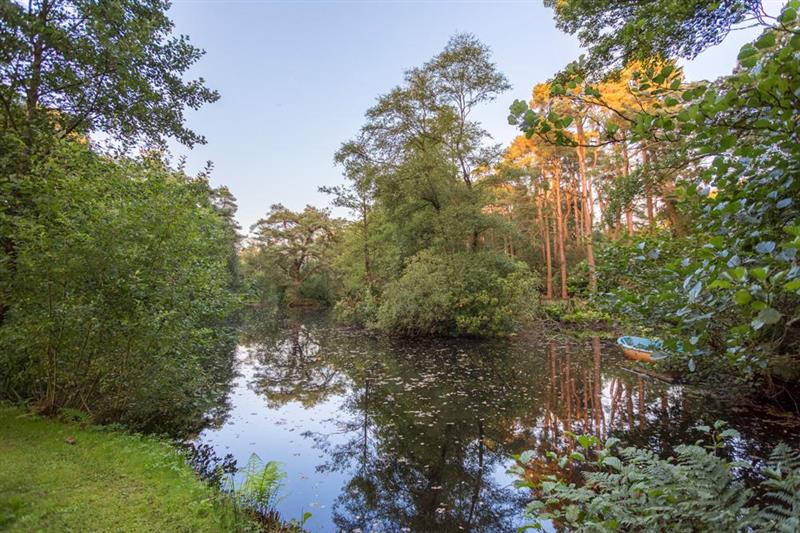 The pond at Blackdown Manor, Taunton, Somerset