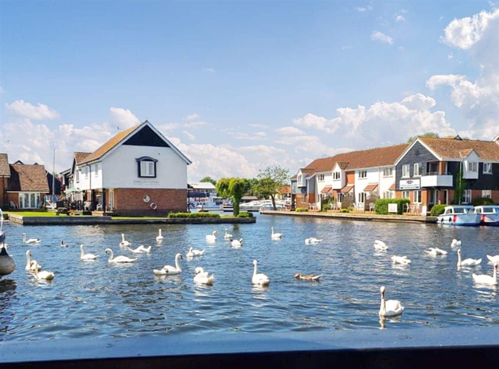 Setting at Blackfriars in Wroxham, Norfolk