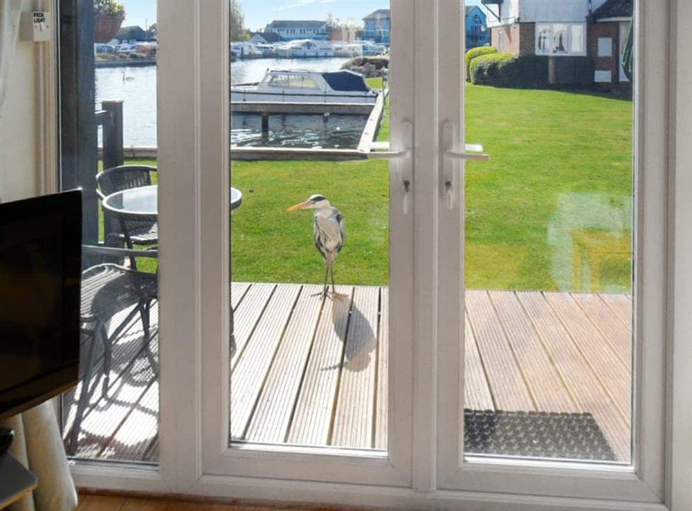 View at Blackfriars in Wroxham, Norfolk
