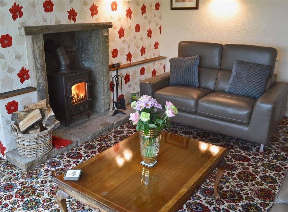 Living room with wood burner at Blackhill Gate Cottage in Kettlehulme, near Whaley Bridge, Derbyshire