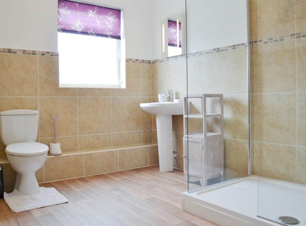 Shower room (photo 2) at Blackmoor Farmhouse in Ludchurch, near Amroth, Dyfed
