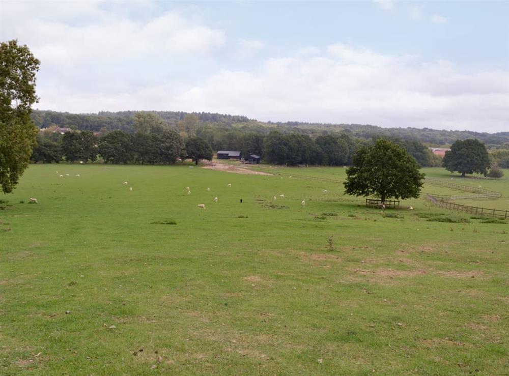 Rural location at Blacknest, near Alton in , Hampshire