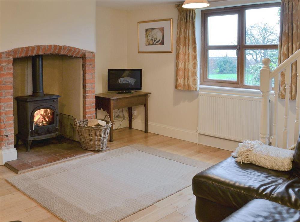 Cosy living room with wood burner at Blackthorn Cottage in Norton Disney, near Newark, Lincolnshire