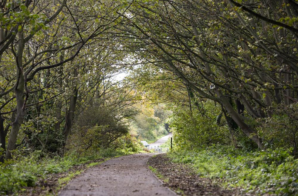 The Trans Pennine Trail, perfect for cyclists and walkers