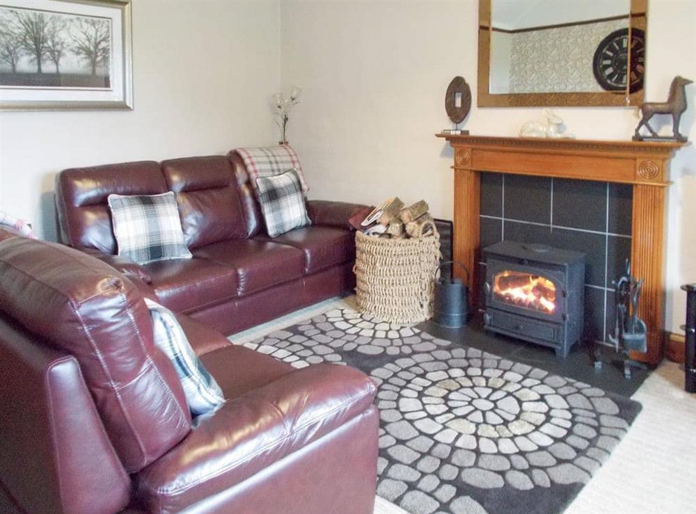 Welcoming living room at Blaeberry Cottage  in Nr. Lockerbie, Dumfriesshire