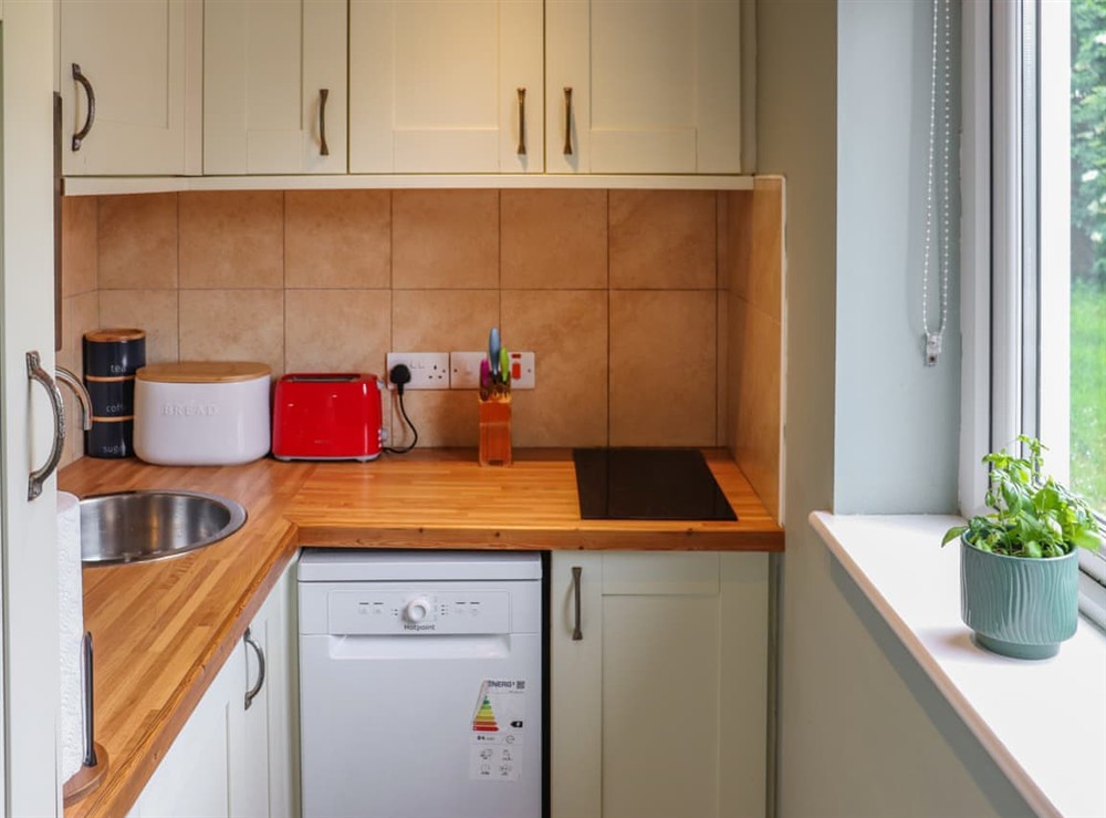 Kitchen (photo 2) at Blaenffynnon Fach in Clydey, near Llanfyrnach, Dyfed